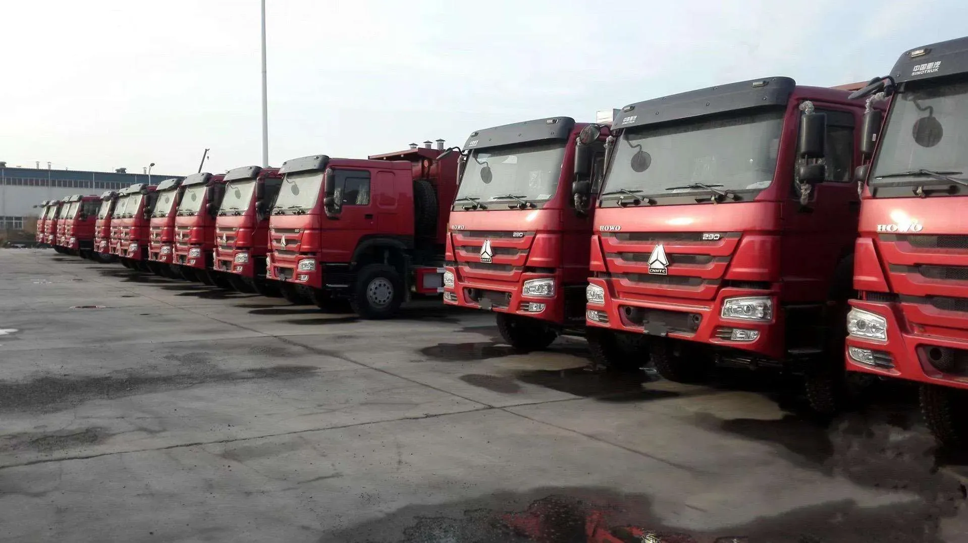 Red HOWO 290 dump trucks lined up in the yard before loading for export to Cameroon
