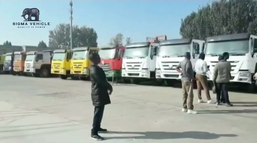HOWO dump trucks in the yard during a customer visit from Cameroon